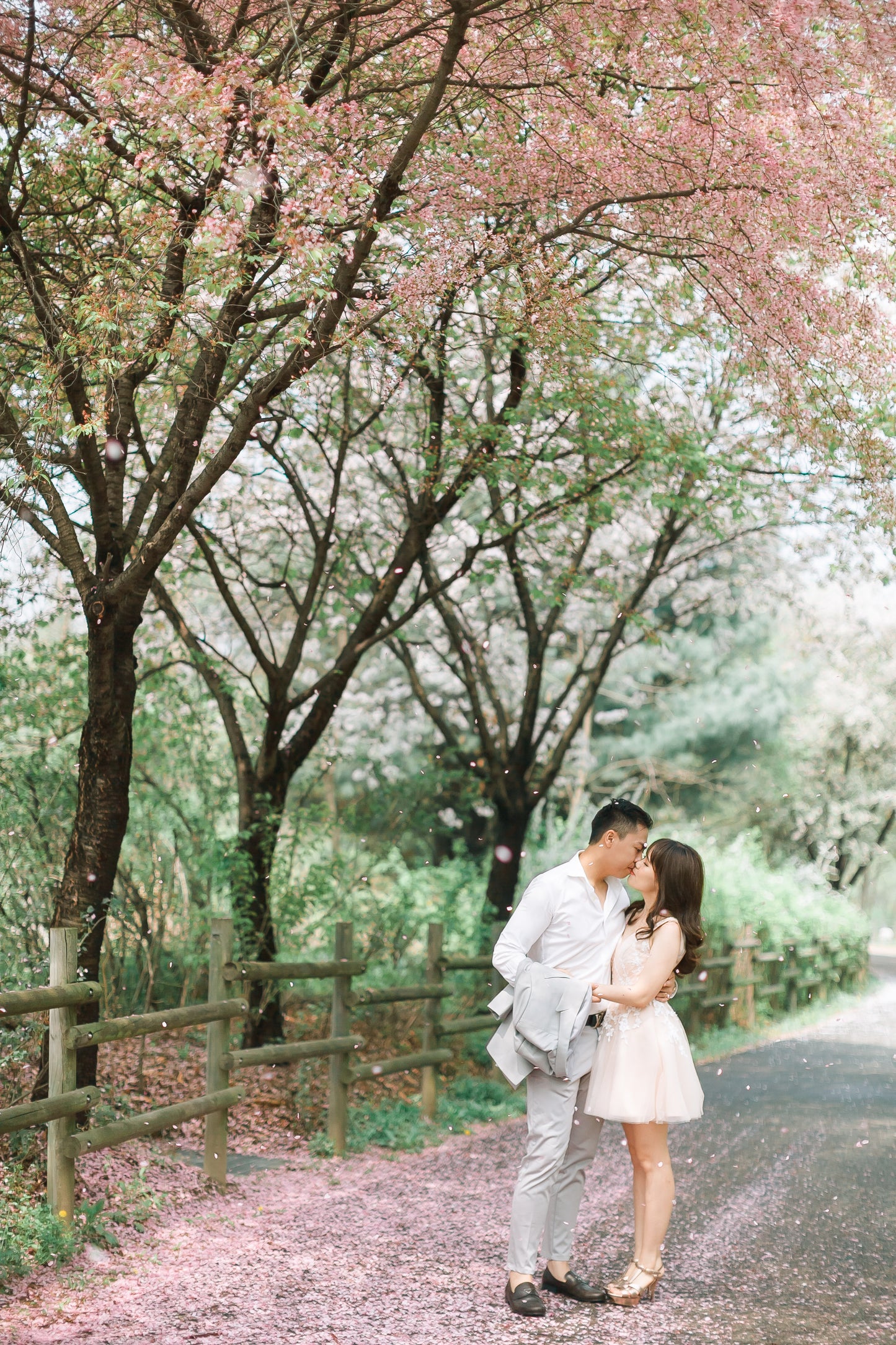 destination wedding korea